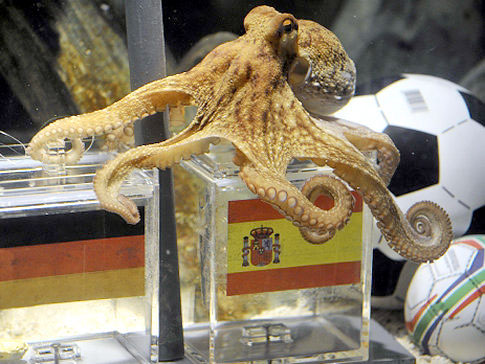 Paul the Psychic Octopus