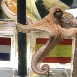 Paul the Octopus, dead at 2 1/2