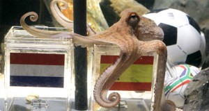 Paul the Octopus is dead