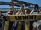 The Best of Philly Soccer Page in 2010