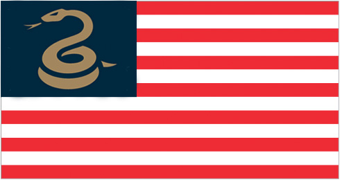 US Union Flag