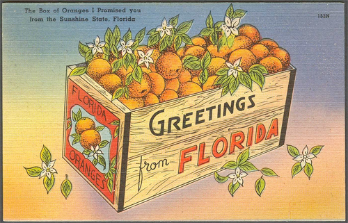 Florida oranges