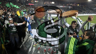 Put a Snake on it! The winners!