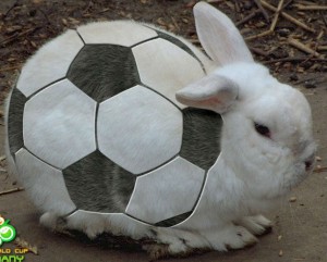 BunnyBall