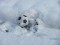 Union-Rapids match postponed