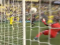 Analysis & player ratings: Union 1-1 Crew